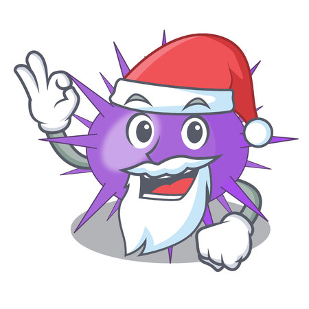Santa sea urchin isolated on a character vector illustrationのイラスト素材