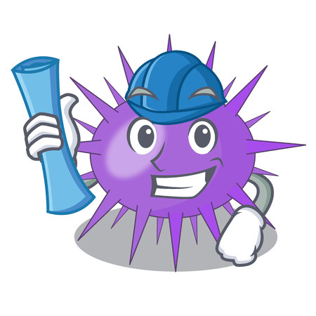 Architect Sea urchin commonly called in cartoon vector illustrationのイラスト素材