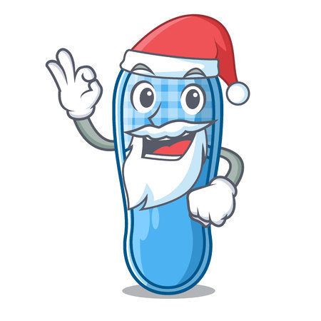 Santa slippers on the carpet a cartoon vector illustrartionのイラスト素材
