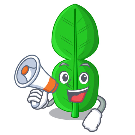 With megaphone bergamot lime leaf isolated on mascot vector illustrationのイラスト素材