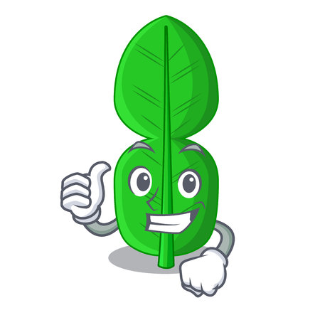 Thumbs up leaf bergamot in a shape cartoon vector illustrationのイラスト素材