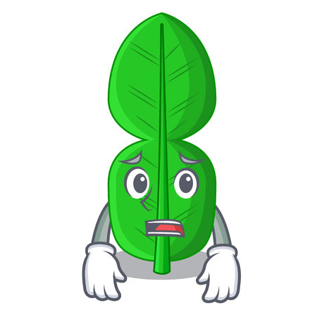 Afraid bergamot leaf in a character funny vector illustrationのイラスト素材
