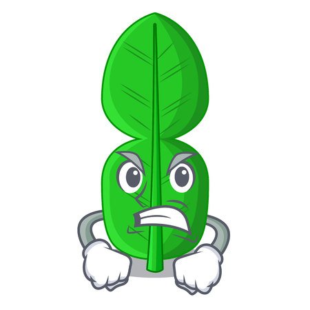 Angry bergamot leaf in a character funny vector illustrationのイラスト素材