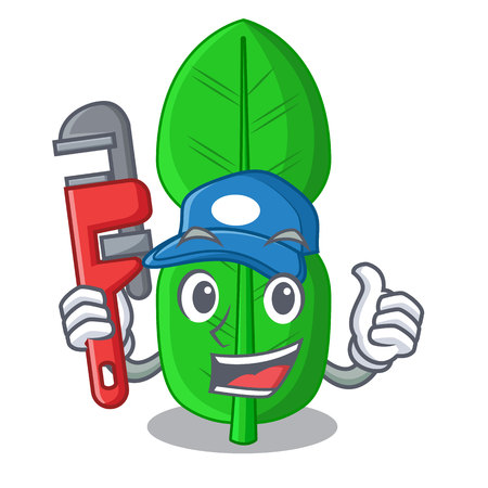 Plumber bergamot leaf in cartoon a interrupting vector illustrationのイラスト素材