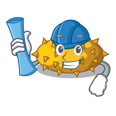 Architect fruit Kiwano the isolated on mascot vector illustrationのイラスト素材