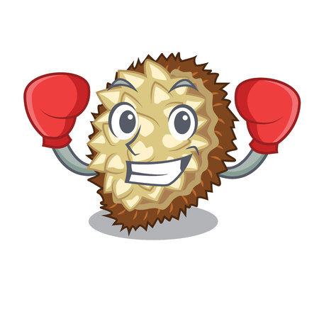Boxing marang fruit isolated on a cartoon vector illustrationのイラスト素材