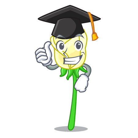 Graduation white rose isolated on the mascot vector illustrationのイラスト素材
