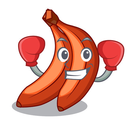 Boxing red banana isolated on the mascot vector illustartionのイラスト素材