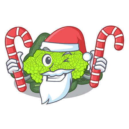 Santa with candy roman cauliflower isolated on the mascot vector illustrationのイラスト素材