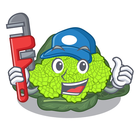 Plumber roman cauliflower isolated on the mascot vector illustrationのイラスト素材