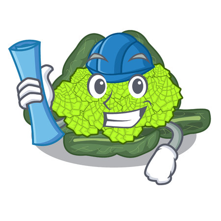 Architect detail texture of roman cauliflower character vector illustrationのイラスト素材