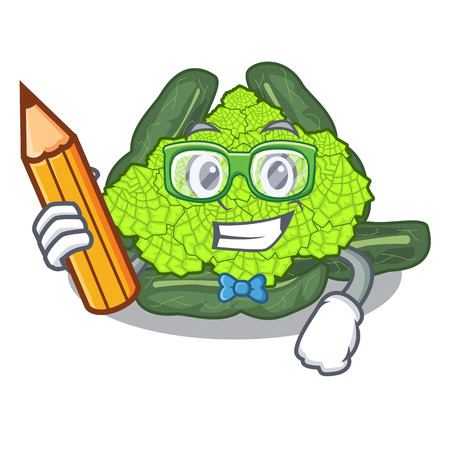 Student detail texture of roman cauliflower character vector illustrationのイラスト素材