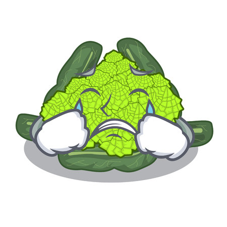 Crying roman caulifloer above table cartoon woodenvector illustrationのイラスト素材
