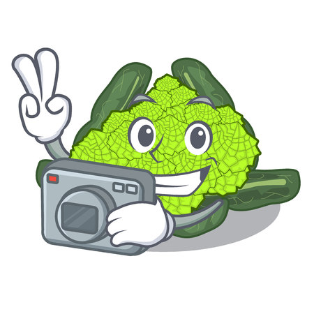 Photographer roman caulifloer above table cartoon woodenvector illustrationのイラスト素材