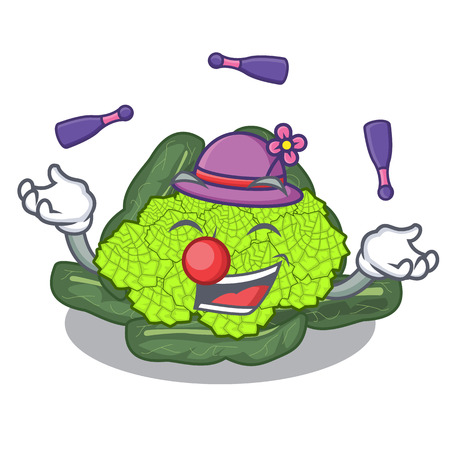 Juggling roman cauliflower isolated on the mascot vector illustrationのイラスト素材