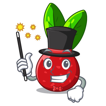 Magician fruit yangmei isolated on the mascot vector illustrationのイラスト素材
