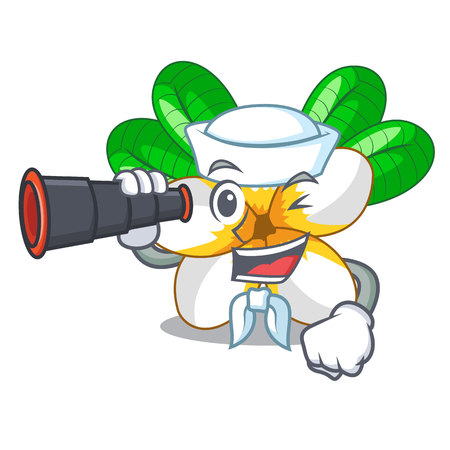 Sailor with binocular frangipani flower in the cartoon tree vector illustrationのイラスト素材