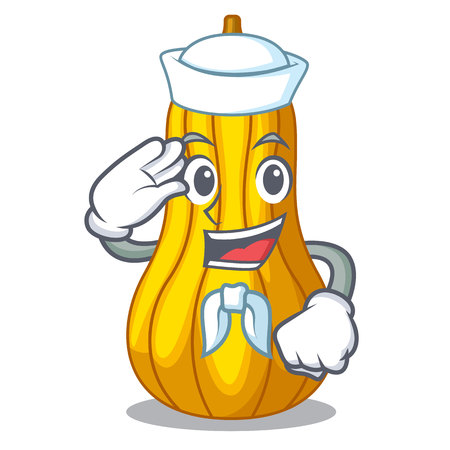 Sailor squash slices in a cartoon bowl vector illustrationのイラスト素材