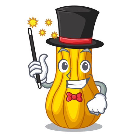 Magician squash in a mascot fruit basket vector illustrationのイラスト素材