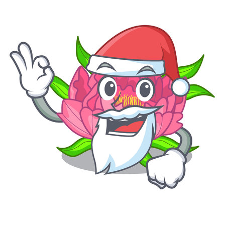 Santa peony flower grow in mascot stems vector illustrationのイラスト素材
