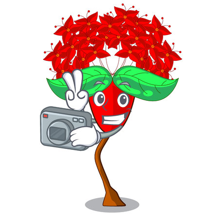 Photographer Ixora flowers in the cartoon pots vector illustrationのイラスト素材