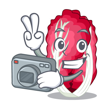 Photographer vegetables radicchio in a character refrigerator vetcor illustrationのイラスト素材