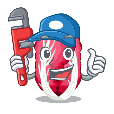 Plumber Vegetable radicchio isolated with the cartoons vector illustrationのイラスト素材