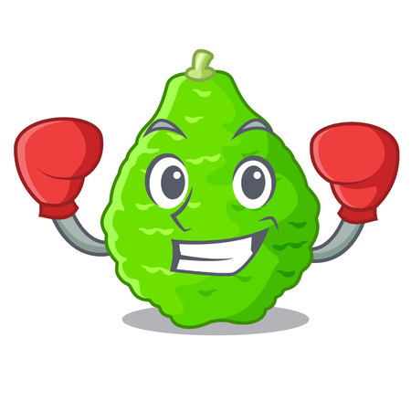 Boxing kaffir lime basket of vegetable mascot vector illustrationのイラスト素材