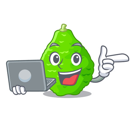 With laptop kaffir lime basket of vegetable mascot vector illustrationのイラスト素材