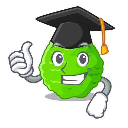 Graduation kaffir lime slices on cartoon plate vector illustrationのイラスト素材