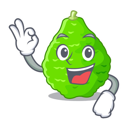 Okay kaffir lime slices on cartoon plate vector illustrationのイラスト素材