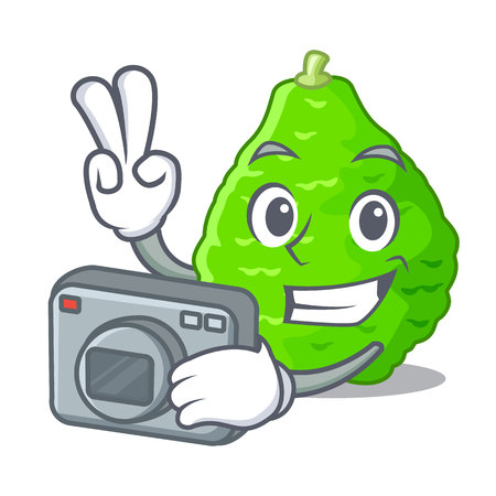 Photographer kaffir lime in the character shape vector illustrationのイラスト素材