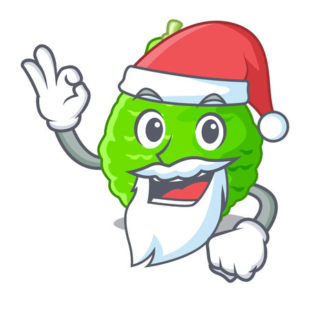 Santa Lime kaffir is isolated with cartoons vector illustrationのイラスト素材