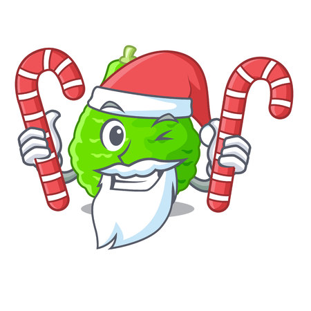 Santa with candy Lime kaffir is isolated with cartoons vector illustrationのイラスト素材