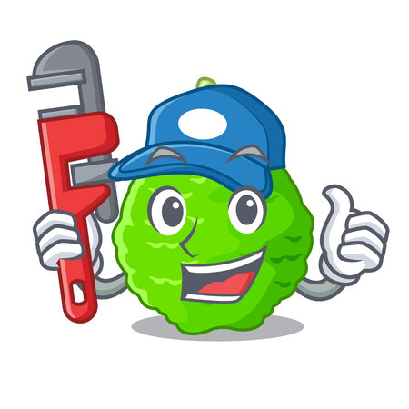 Plumber Lime kaffir is isolated with cartoons vector illustrationのイラスト素材