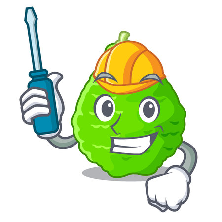 Automotive Lime kaffir is isolated with cartoons vector illustrationのイラスト素材