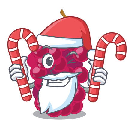 Santa with candy mulbery fruit isolated with the cartoons vector illustrationのイラスト素材