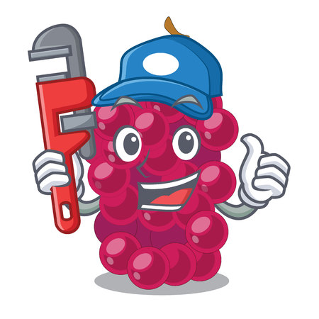 Plumber mulbery fruit isolated with the cartoons vector illustrationのイラスト素材