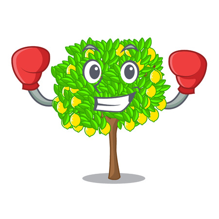 Boxing lemon tree in the cartoon shape vector illustrtionのイラスト素材