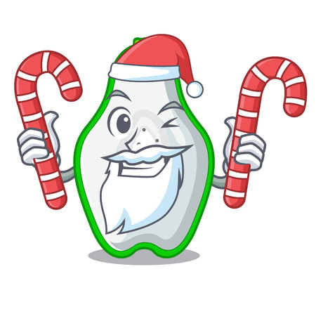 Santa with candy green papaya in the cartoon form vector illustrationのイラスト素材