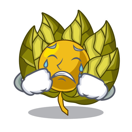 Crying physalis fruit isolated in the character vector illustrationのイラスト素材