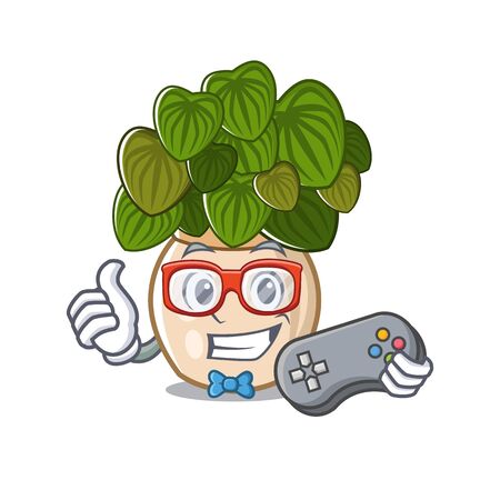 Gamer peperomia spreads on the cartoon stems vector illustrationのイラスト素材