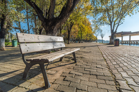 Bench in a park 