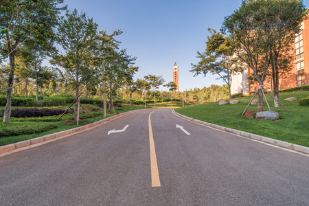 Campus roadのeditorial素材