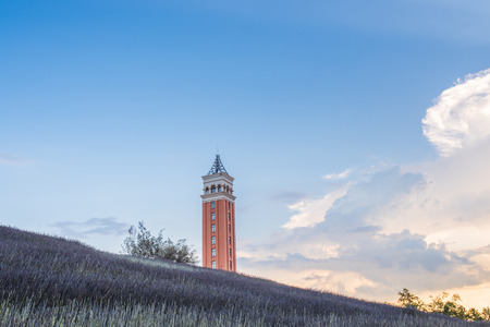 belfryのeditorial素材