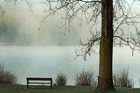 foggy deer lakeの写真素材