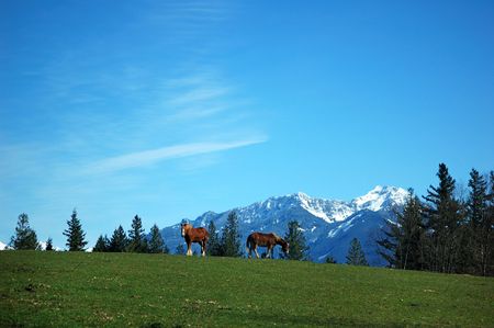 farm and mountainの写真素材