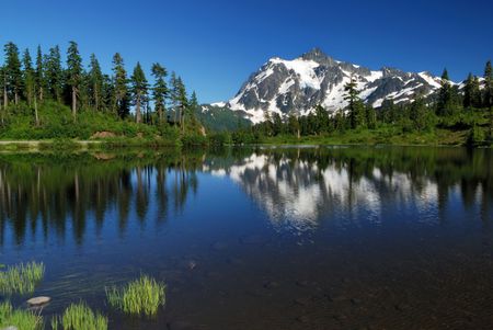 picture lake and mt. shuksanの写真素材