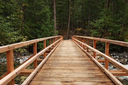 wooden bridge in forestの写真素材