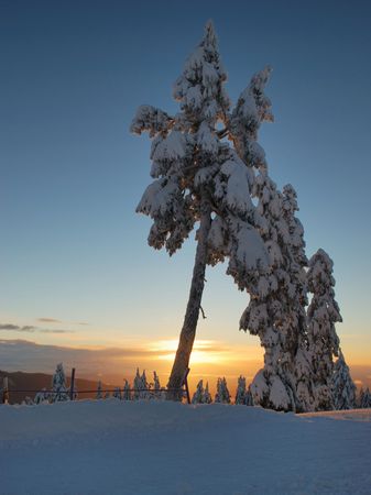 seymour mountain at sunriseの写真素材